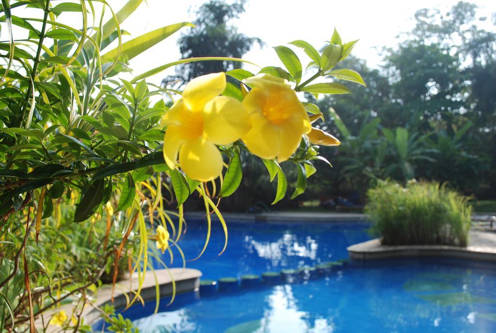 Laguna Holiday home